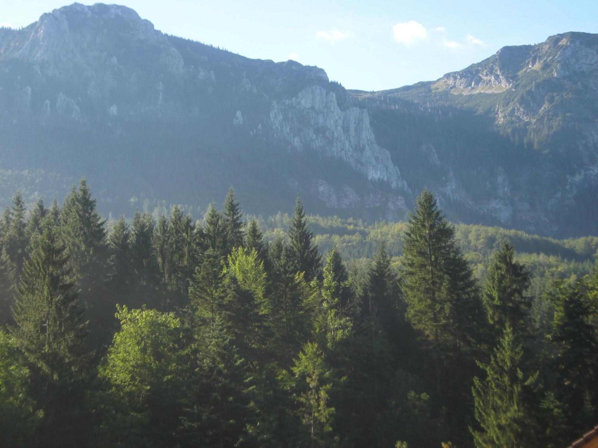 2 Sterne Gasthof Pension Kienklause Kein Wifi Wlan Keinen Handyempfang Steinbach am Attersee Zewnętrze zdjęcie