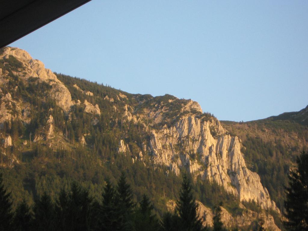 2 Sterne Gasthof Pension Kienklause Kein Wifi Wlan Keinen Handyempfang Steinbach am Attersee Pokój zdjęcie